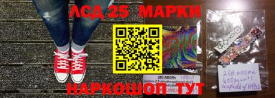 эйфоретик Донской
