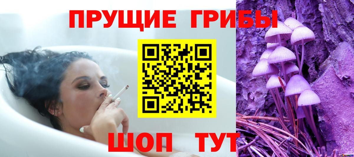 Псилоцибиновые грибы ЛСД Барабинск